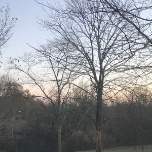 Meet your Posher, Lindy